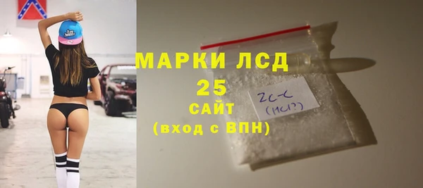 стафф Надым