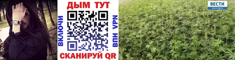 Бошки марихуана VHQ  цены   Пугачёв 
